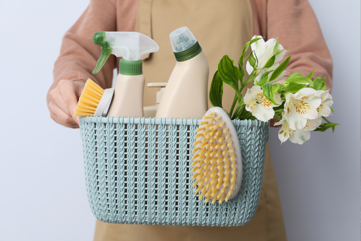 Housekeeper for Bi-Weekly Cleaning